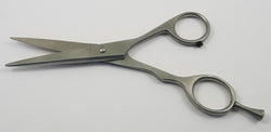 6 1/2 Inch Hair Shears
